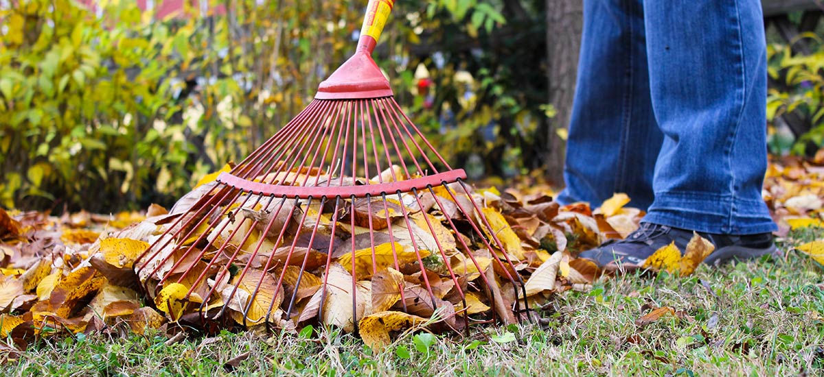 Person welche Laub im Garten recht