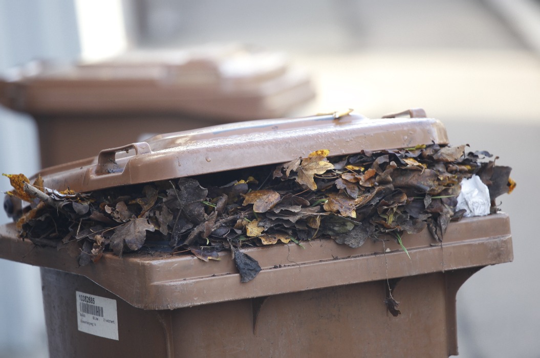 Braune Tonne, gefüllt mit Herbstlaub